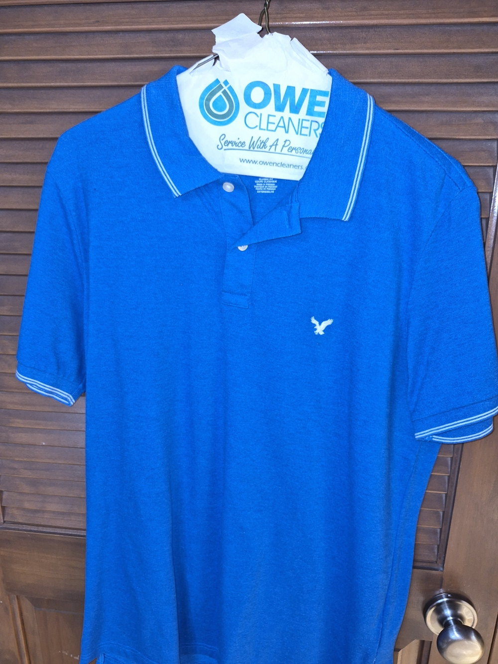 American Eagle Outfitters Royal Blue Polo with Contrast Trim